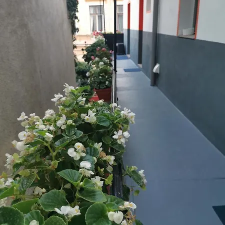 Guest house Center Bucharest